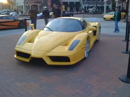 enzo.webp