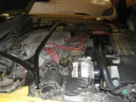 Mustang_int_eng_2009_006_sm.webp