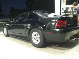 mustang2.webp
