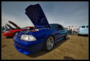 FL20103.webp