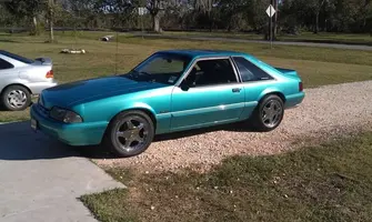 stang2.webp