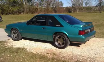 stang1.webp