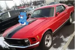 thundercolt.webp
