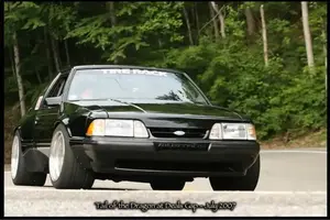 widebodyfox.webp