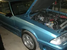 DSCN2537.webp