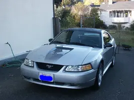 Mustang%252520%252528internet%252529.webp