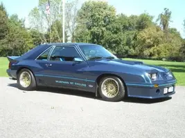 enduro-mustang-1.webp