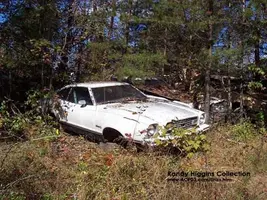 100_2403-web.webp