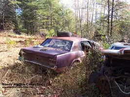 100_2414-web.webp