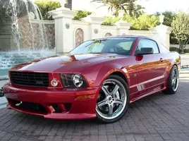 saleenred.webp