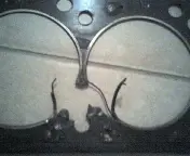 gasket 1.webp