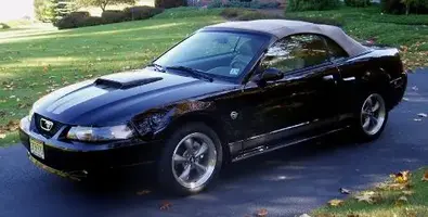 Lin'sGT-1.webp