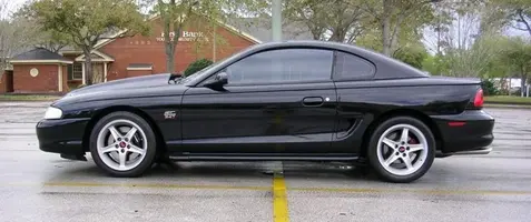 mustang 003 cropped small.webp