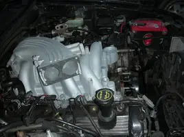 bullitt1.webp