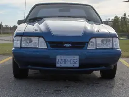 New Headlights.webp