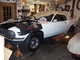 new m-t fronts (Small).webp