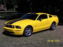 05 Stang.webp