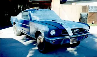 mustang.webp