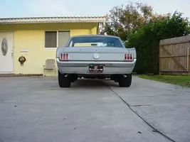 mustang 005.webp
