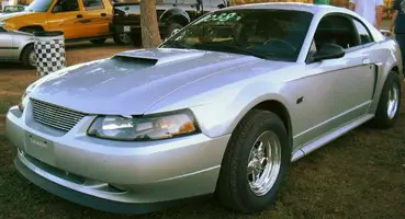 galens stang.webp