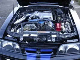 c4.webp