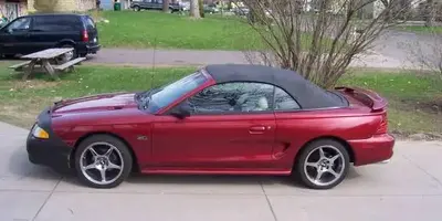 stang2.webp