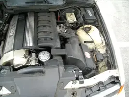 Picture_025.webp