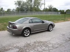 Phyllis Party-Mustang-Posseum 037.webp