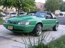 mustang1.webp