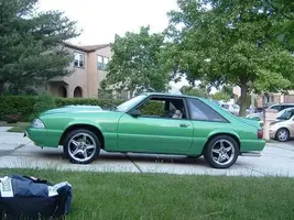 mustang2.webp