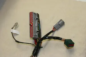 inside_harness.webp