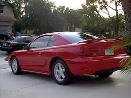 Mustang.webp