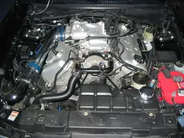 rvaqlg.webp