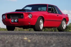 mustang1.webp