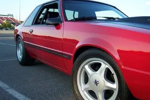mustang2.webp