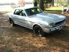 mustang8.webp
