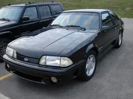 1Mustang.webp