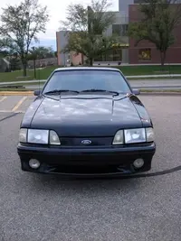 2Mustang.webp