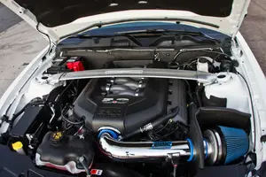 Mustang027.webp