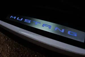 Mustang018.webp