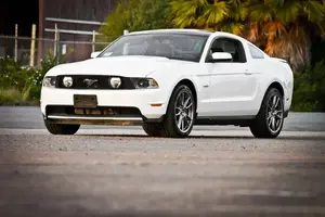 Mustang013.webp