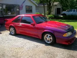 mustang.webp