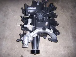 1022884.webp