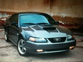 mustang.webp