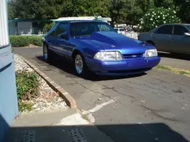 Picture007.webp
