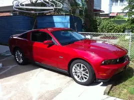 mustangpic3.webp