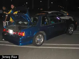 rice20stang.webp