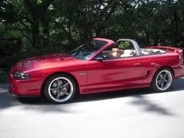 DSCN4328.webp
