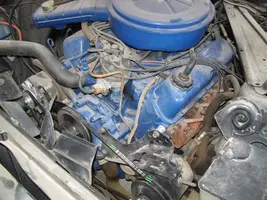 100_1100.webp