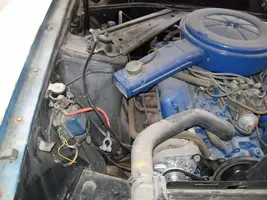 100_1101.webp